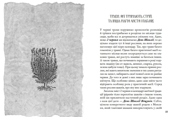 Книга «Магічний путівник. Літо» Анна Амарго, Олесь Барліг - фото №12