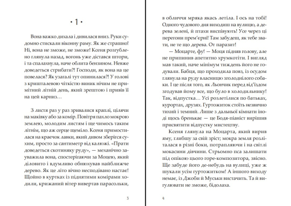 Прокляття Хасет - фото №4